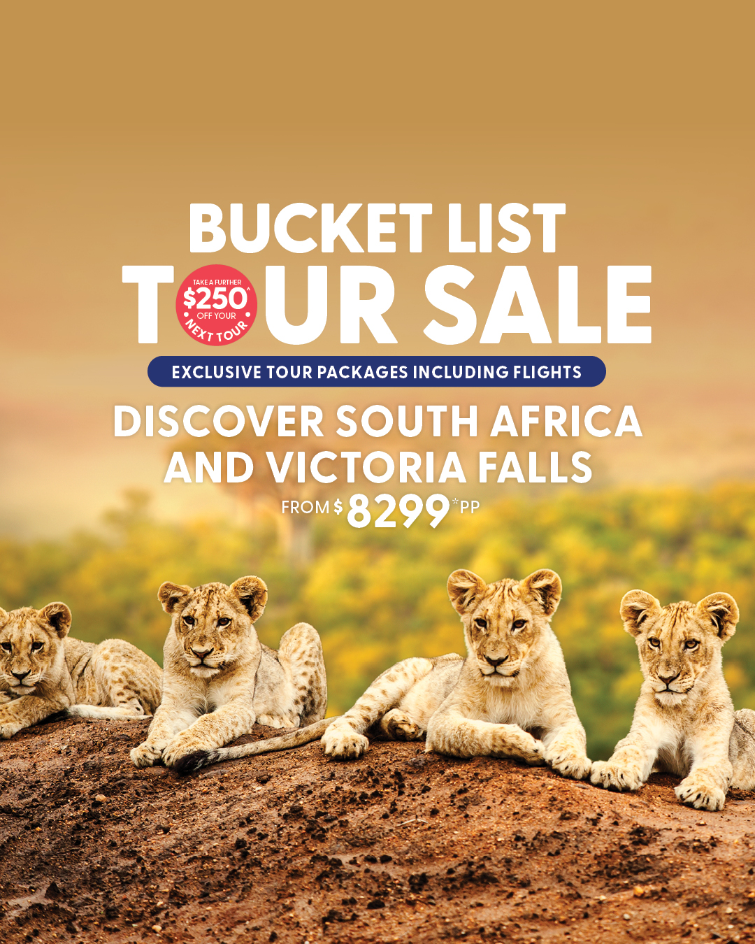 My Cruises Facebook ad