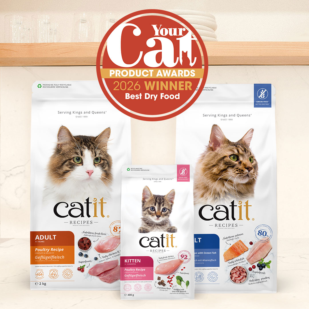 Catit UK Facebook ad