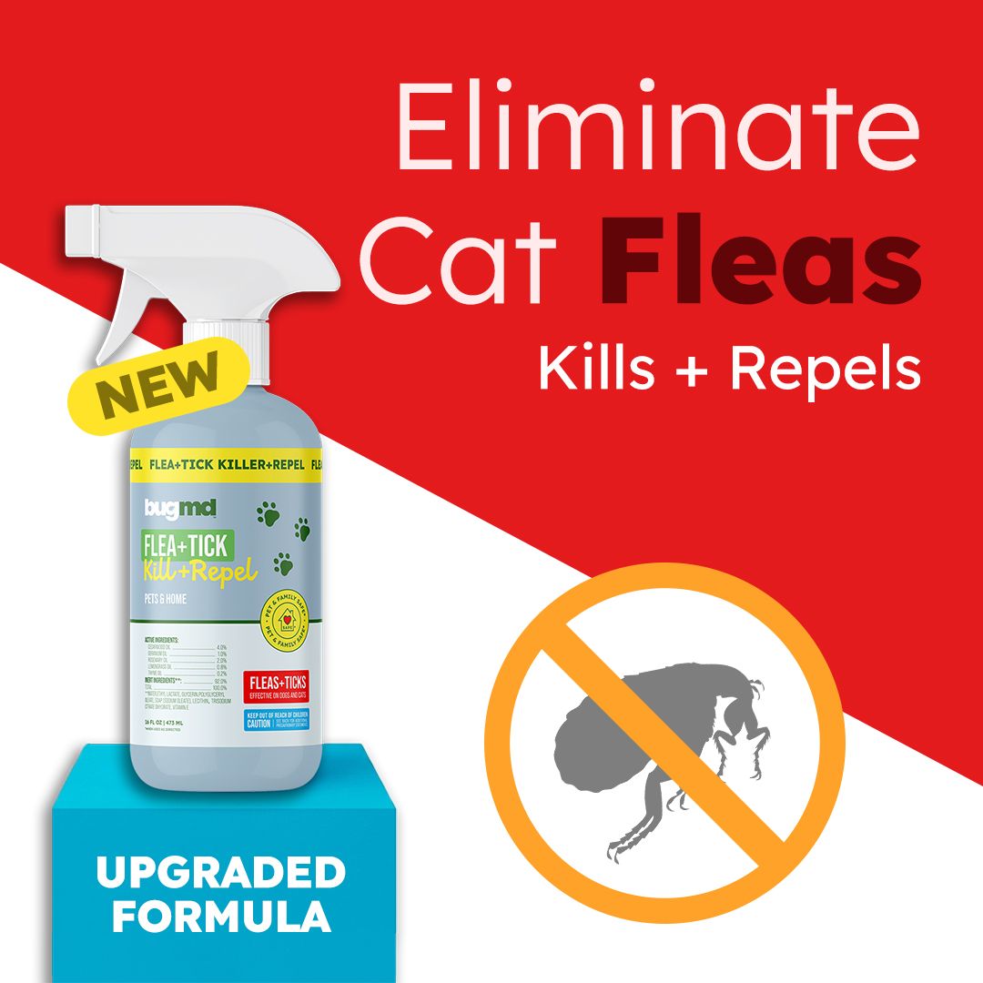 Flea & Tick Control Facebook ad