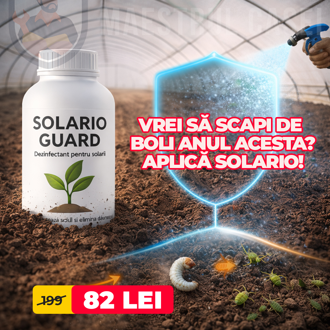 Maestrul Casei Facebook ad: NR.1 IN ROMANIA