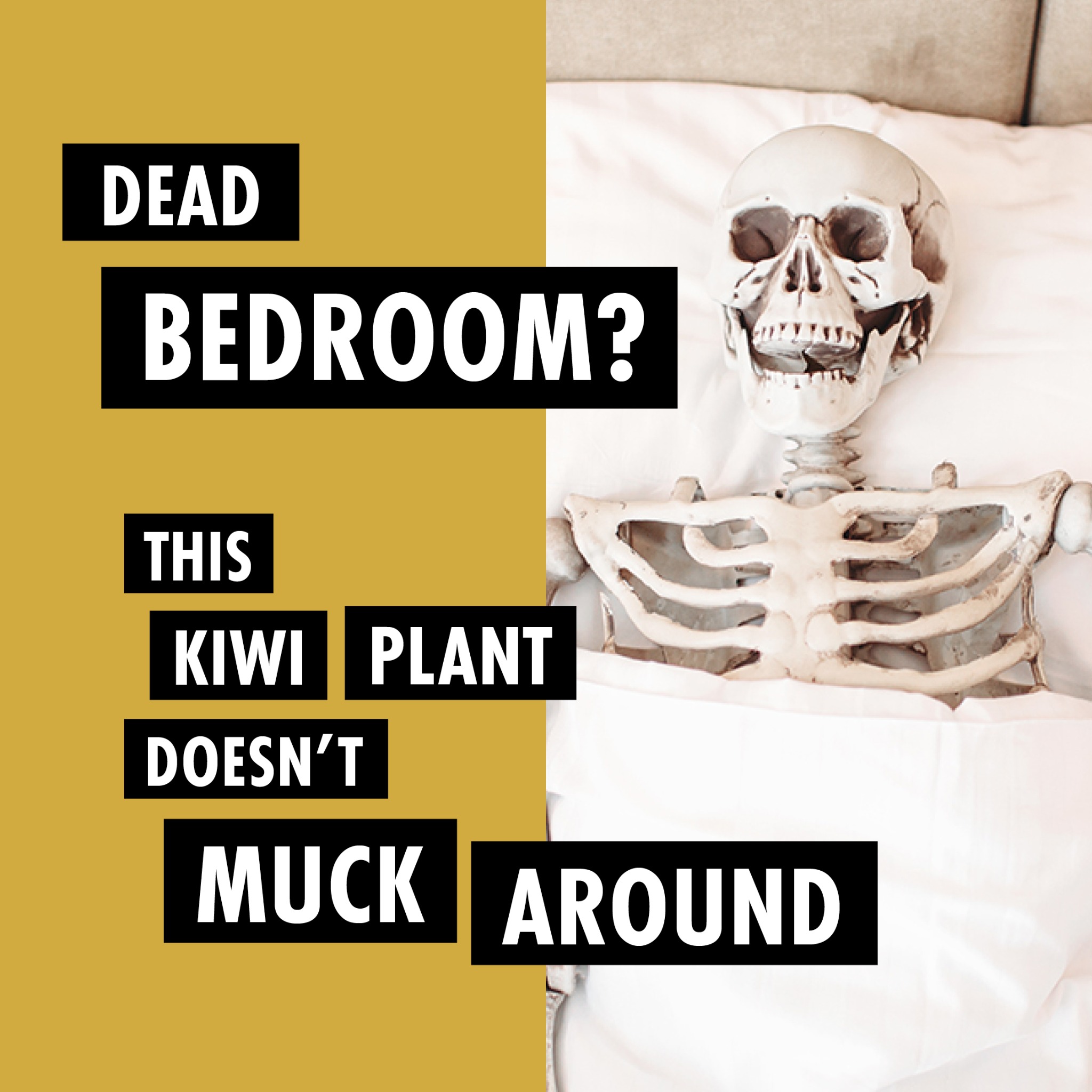 Bio Gold NZ Facebook ad