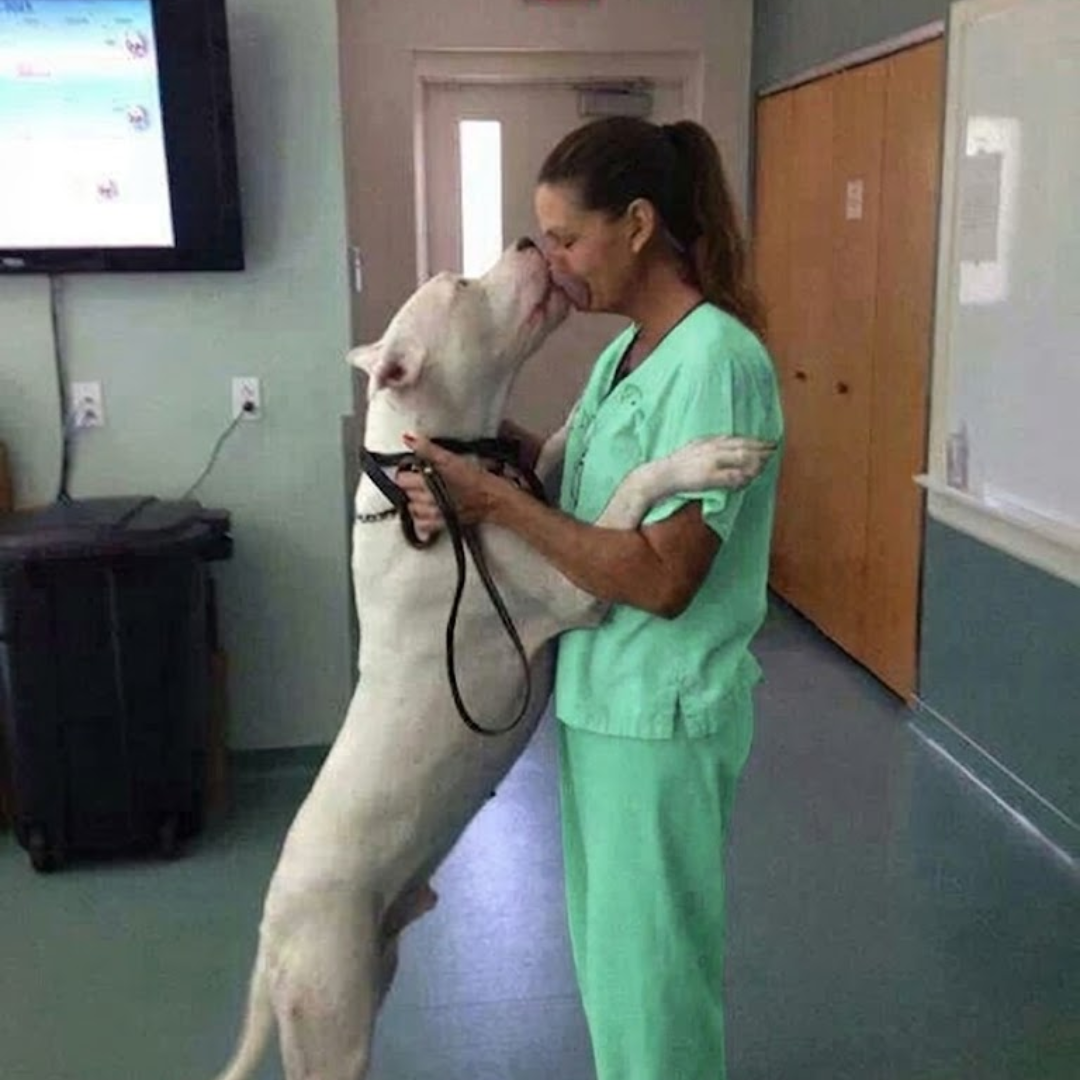 Dr. Laura Hastings Facebook ad