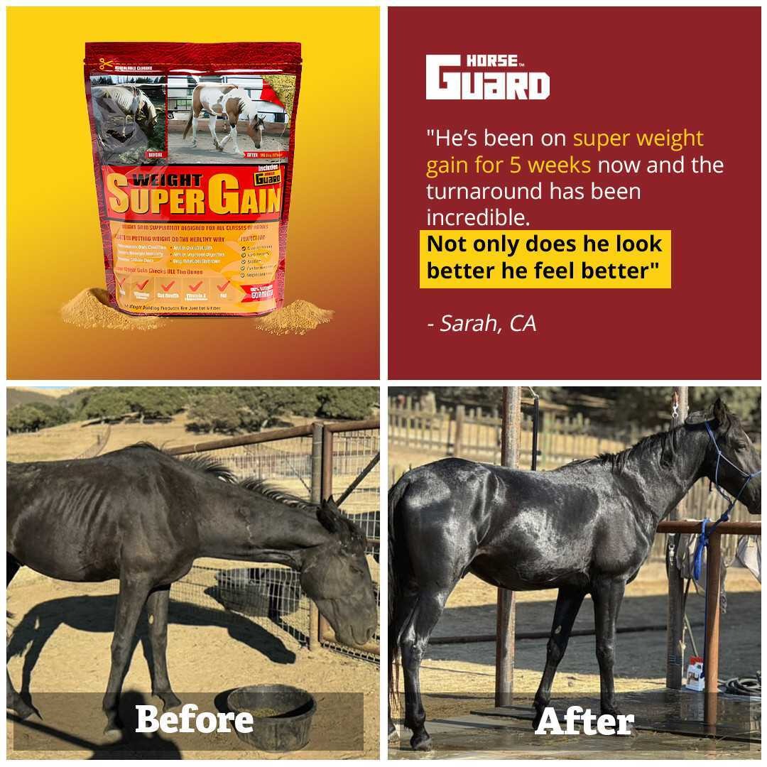 Horse Guard Facebook ad
