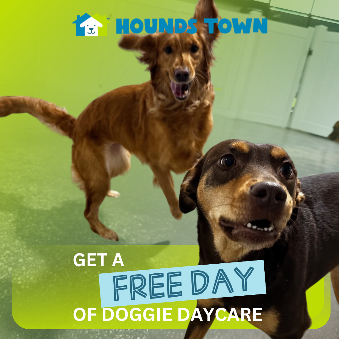 Hounds Town Massapequa Facebook ad