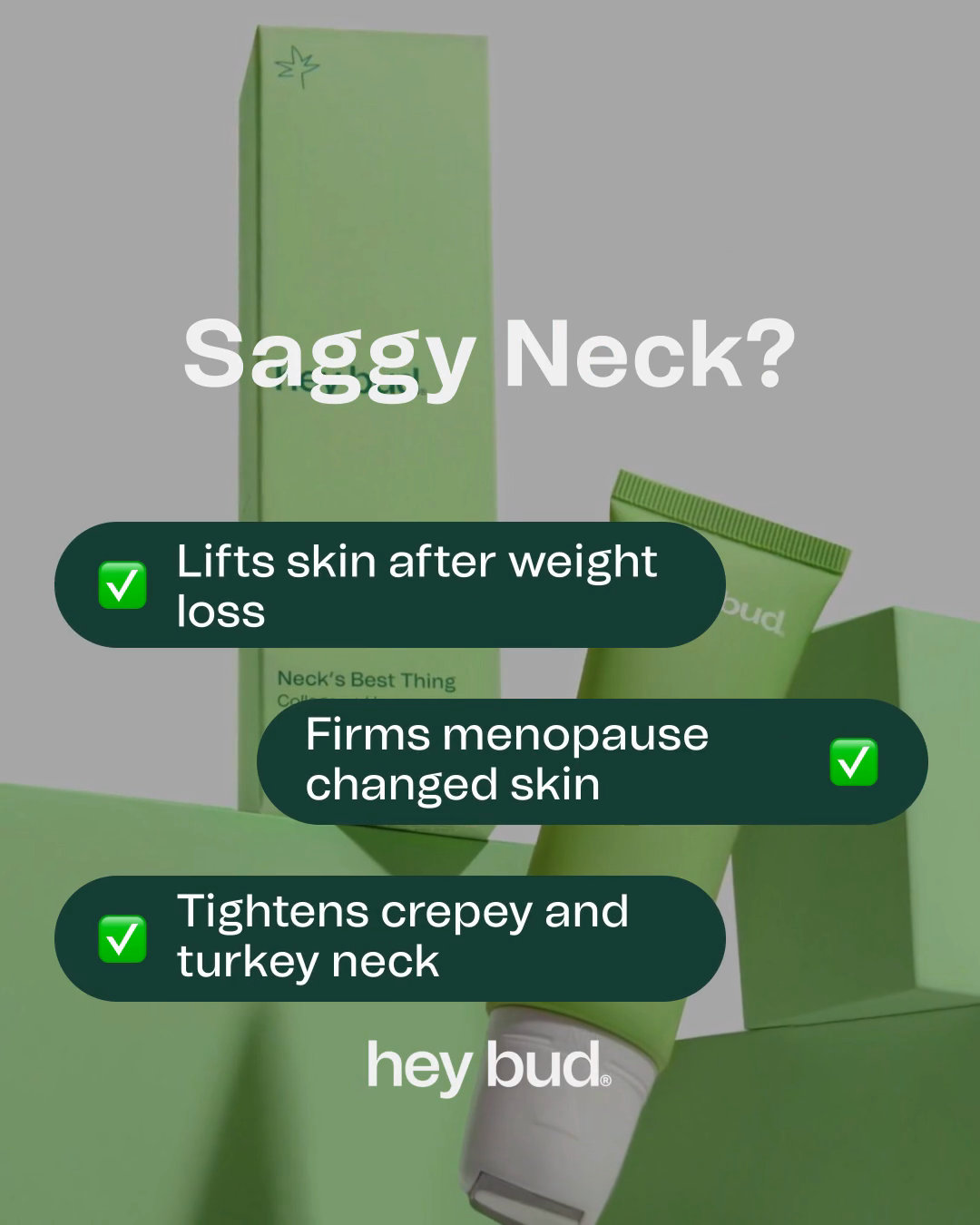 Hey Bud  Facebook ad