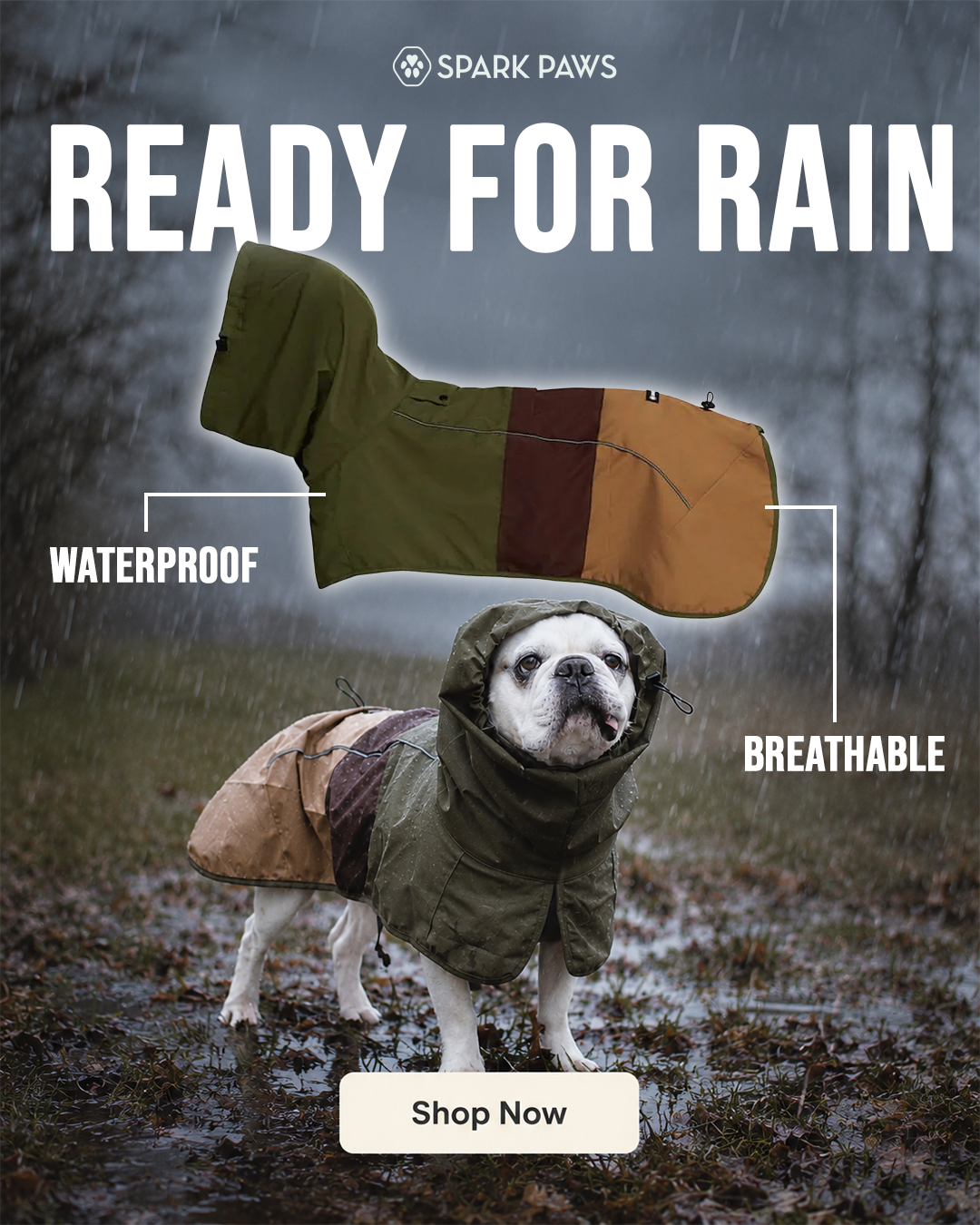 Spark Paws Facebook ad