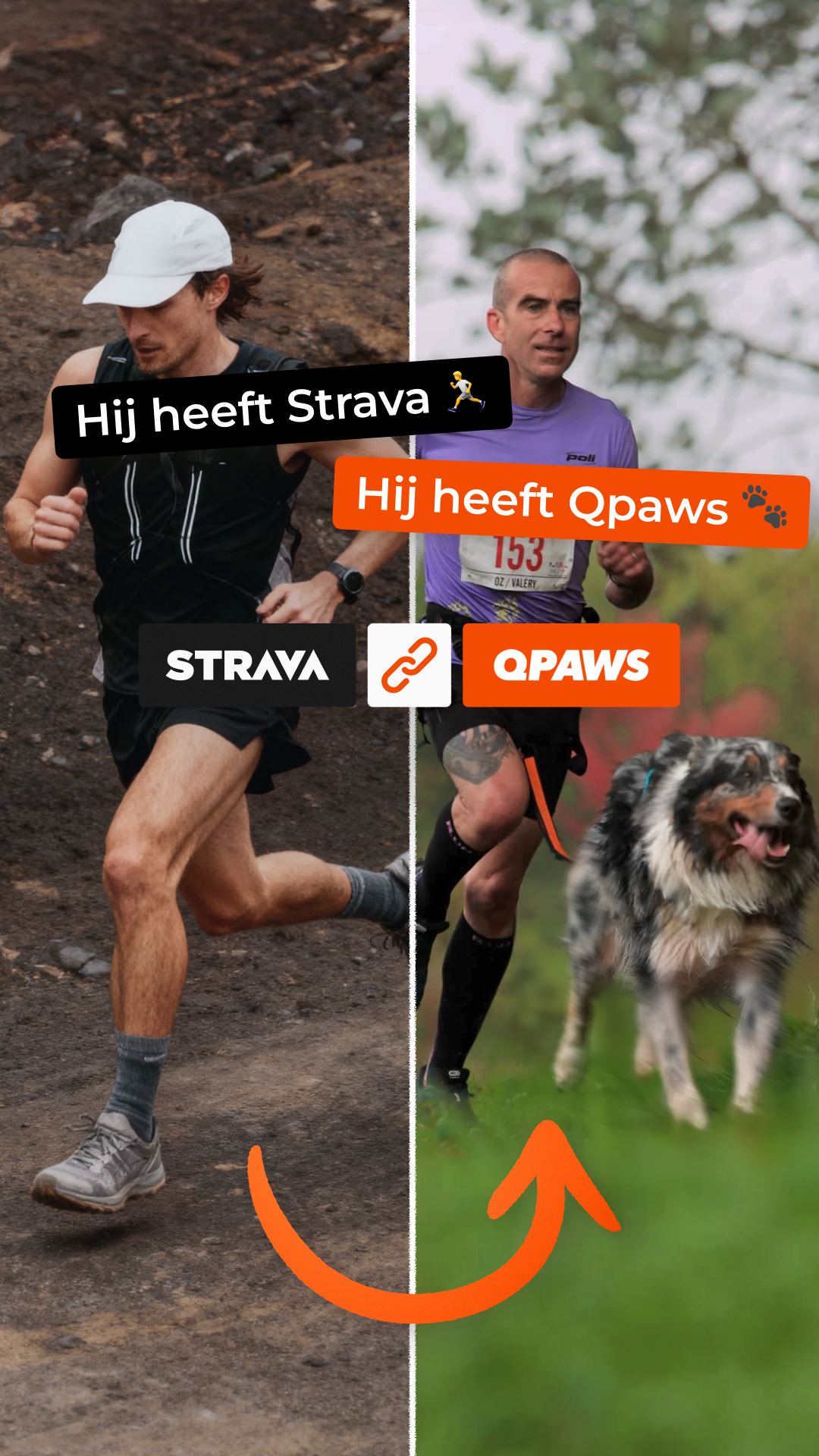 QPAWS Facebook ad
