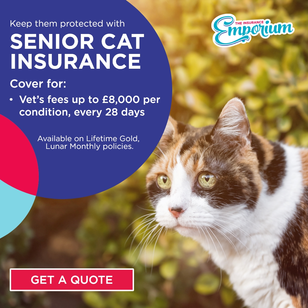 The Insurance Emporium Facebook ad