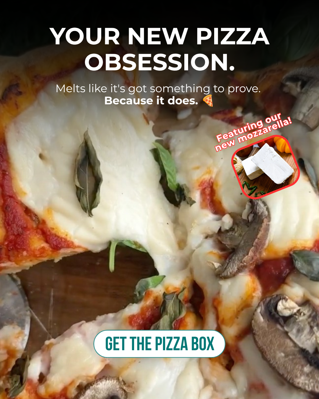 Rebel Cheese Facebook ad