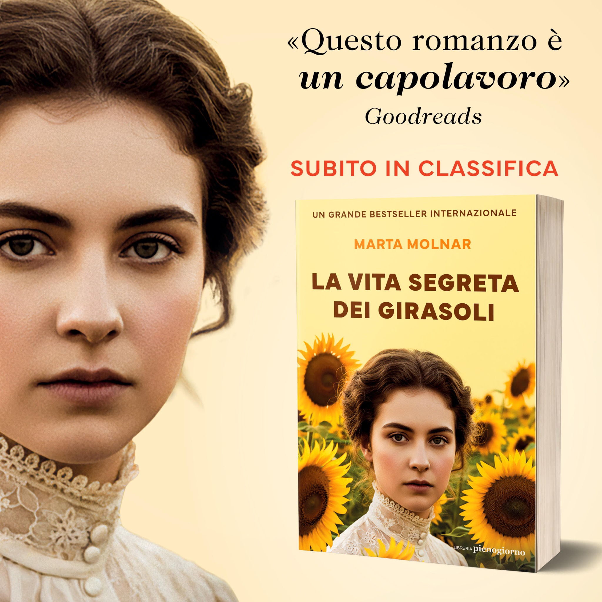 La vita segreta dei girasoli Facebook ad