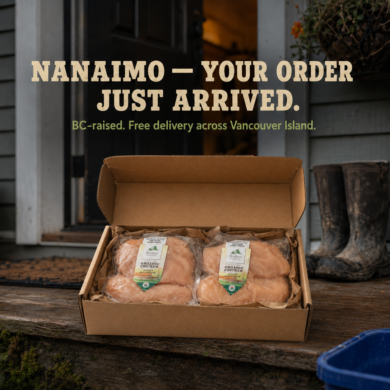 Cow Wings Facebook ad: Nanaimo Meat Delivery Is Here