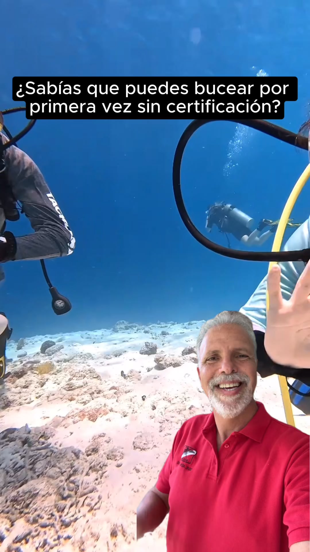 Panama Dive Adventure Facebook ad: Reserva por WhatsApp