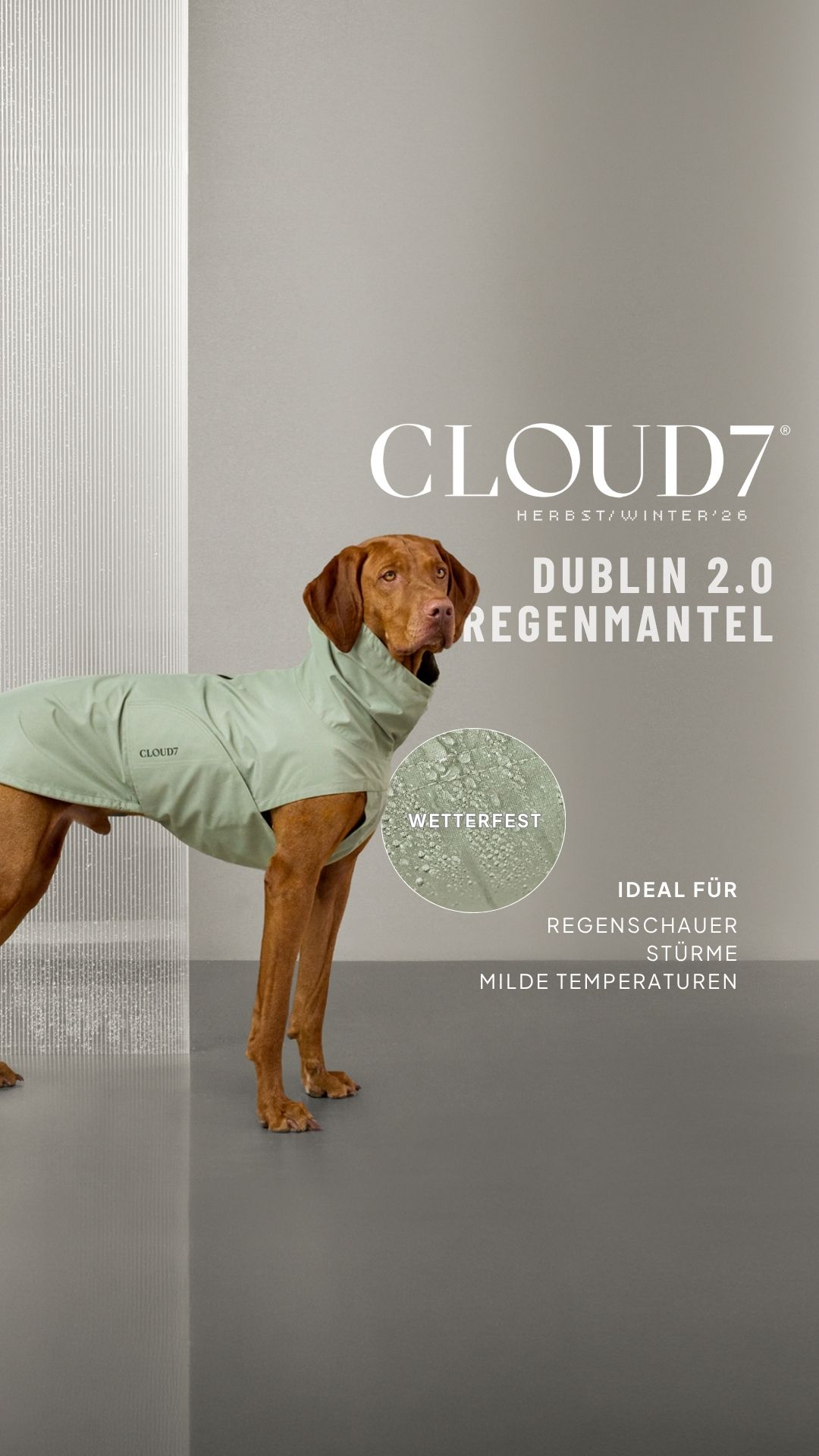Cloud7 Facebook ad: Wetterfest für jeden Hund