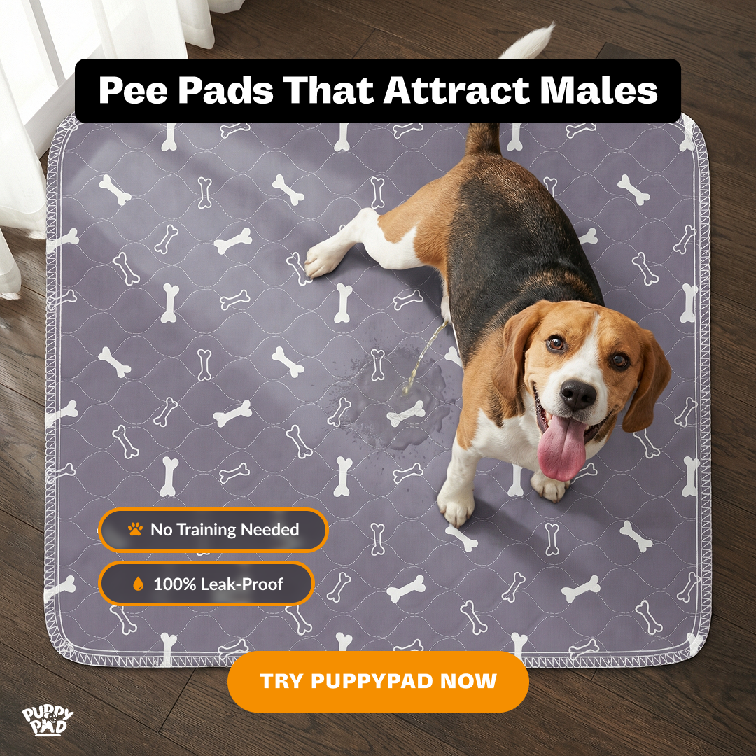 PuppyPad Facebook ad