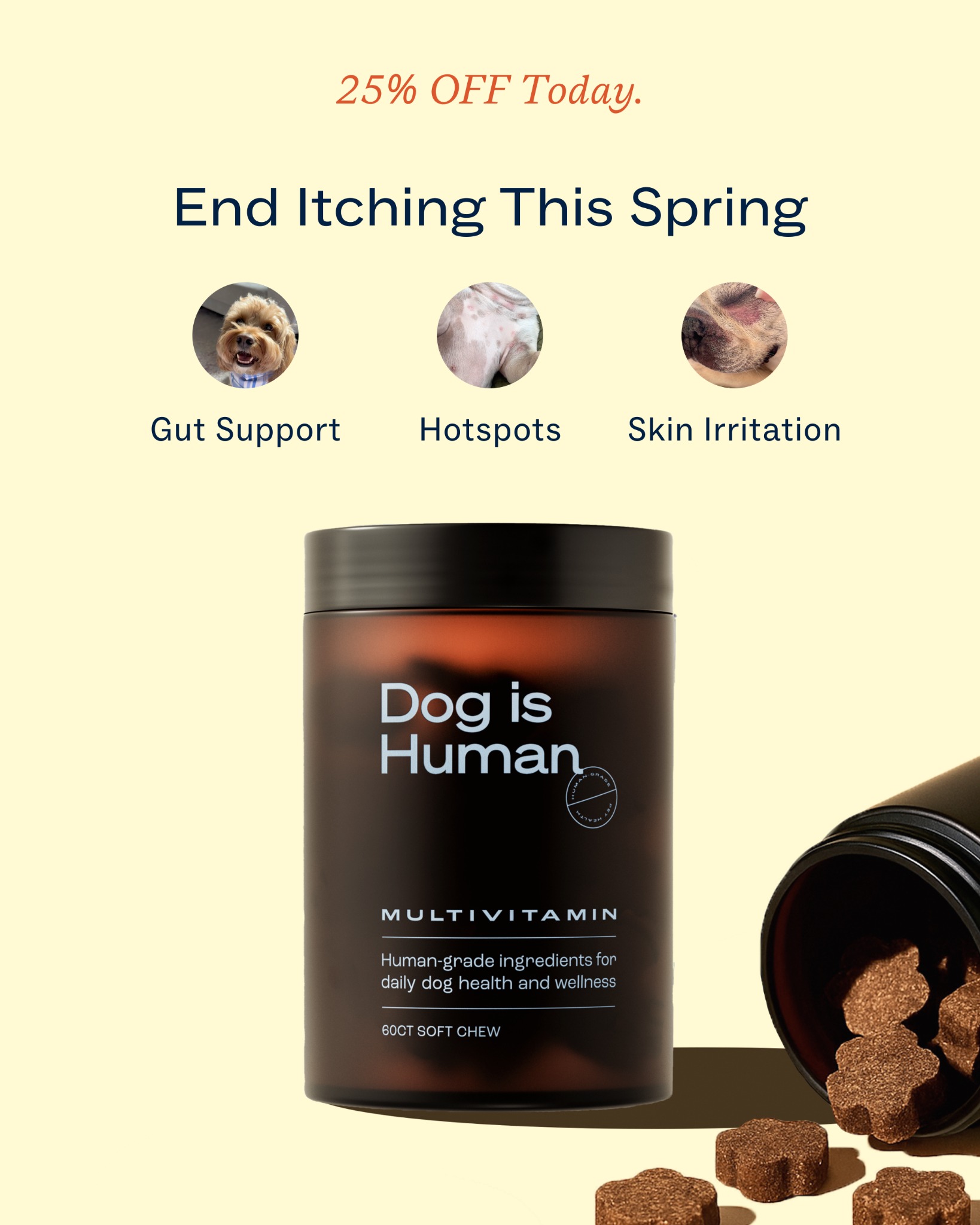 Dog is Human Facebook ad