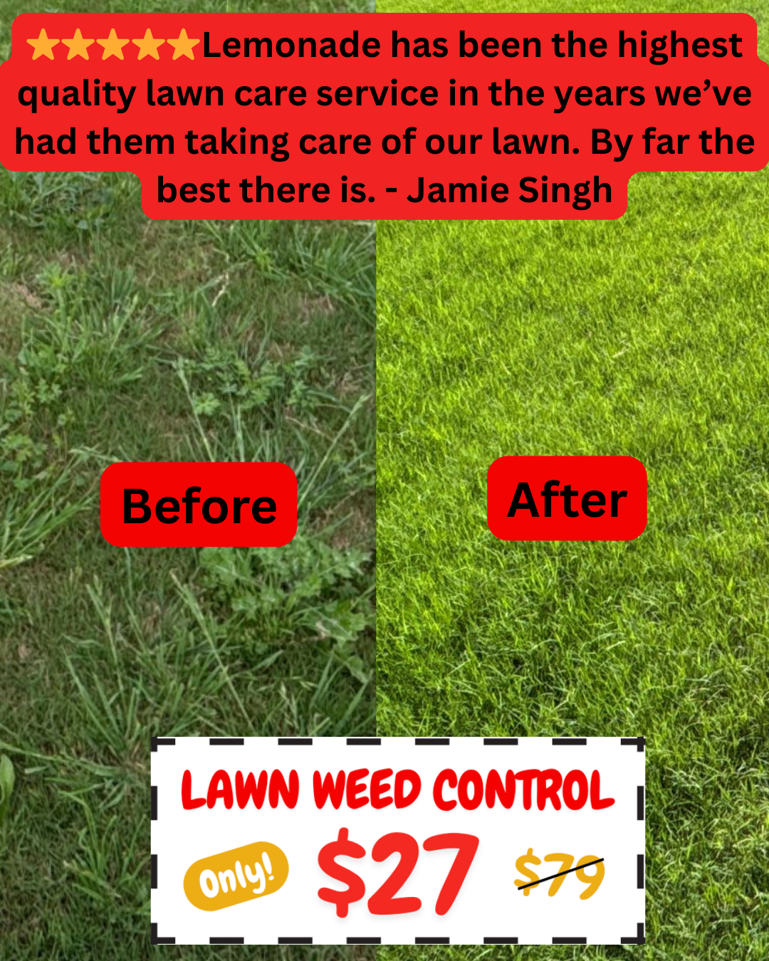 Lemonade Lawn Care Facebook ad