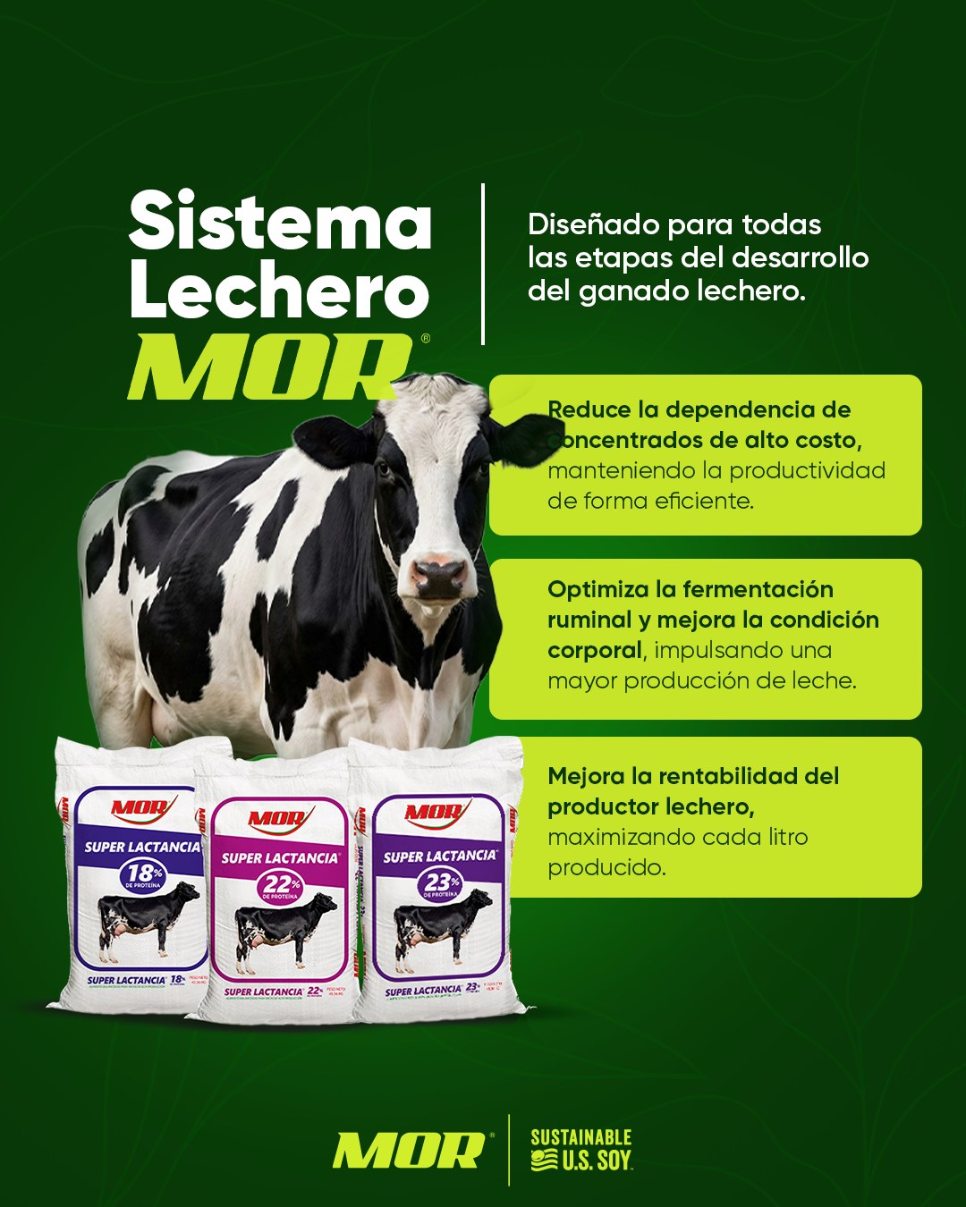 Alimentos MOR Facebook ad: Menos gasto, más producción.