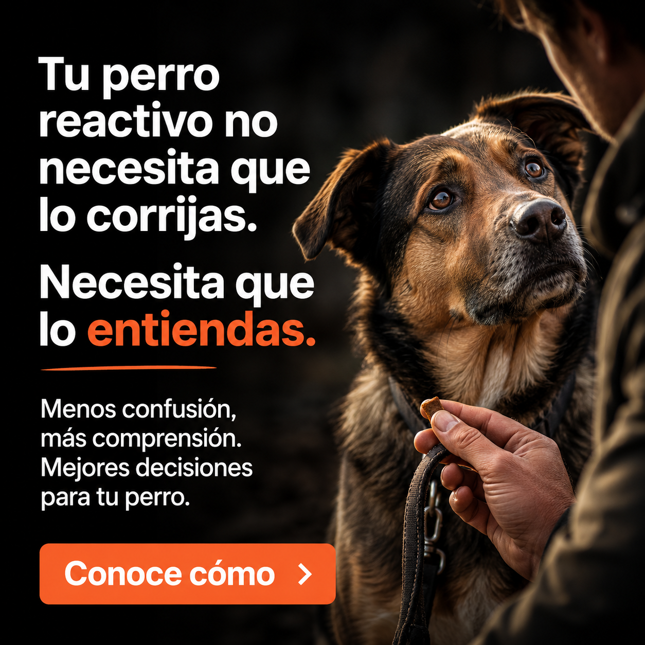 El Profesor Canino Facebook ad