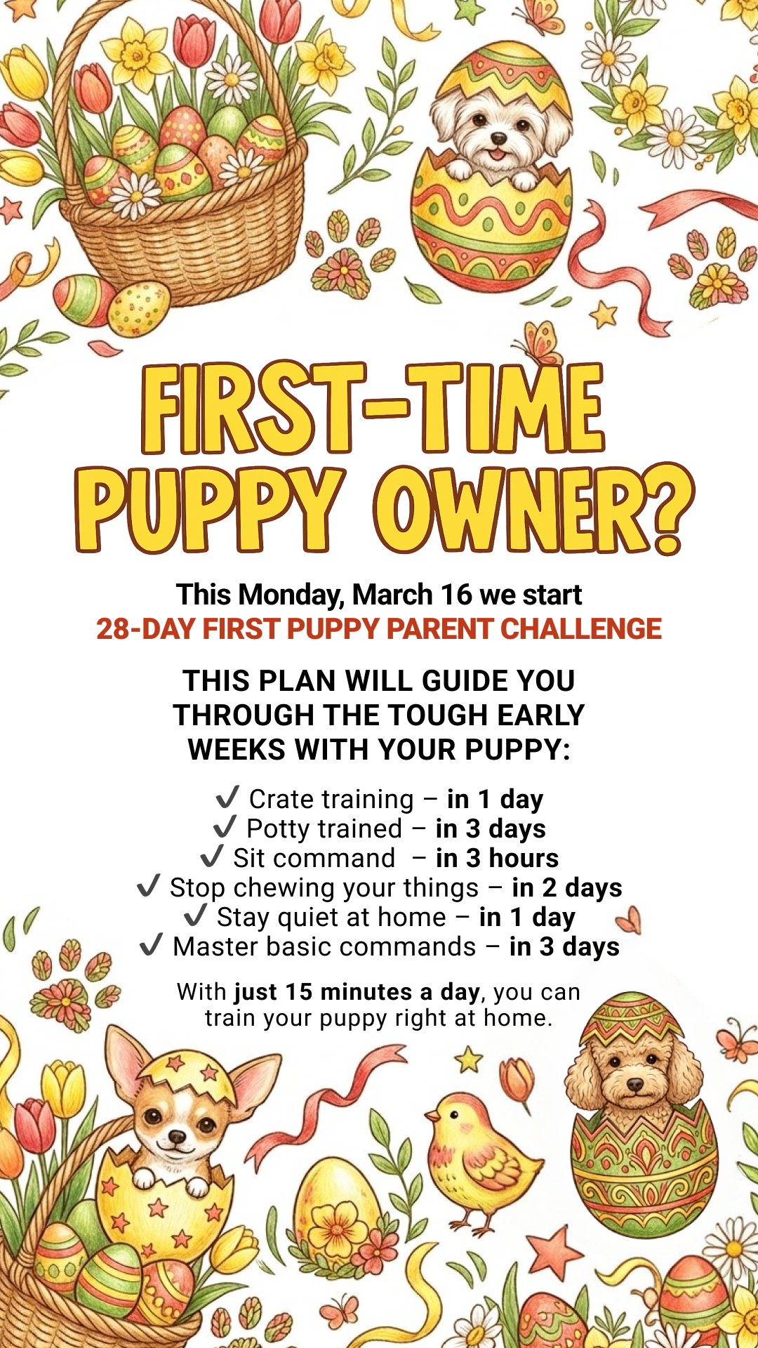 Woofz - Puppy Training Facebook ad