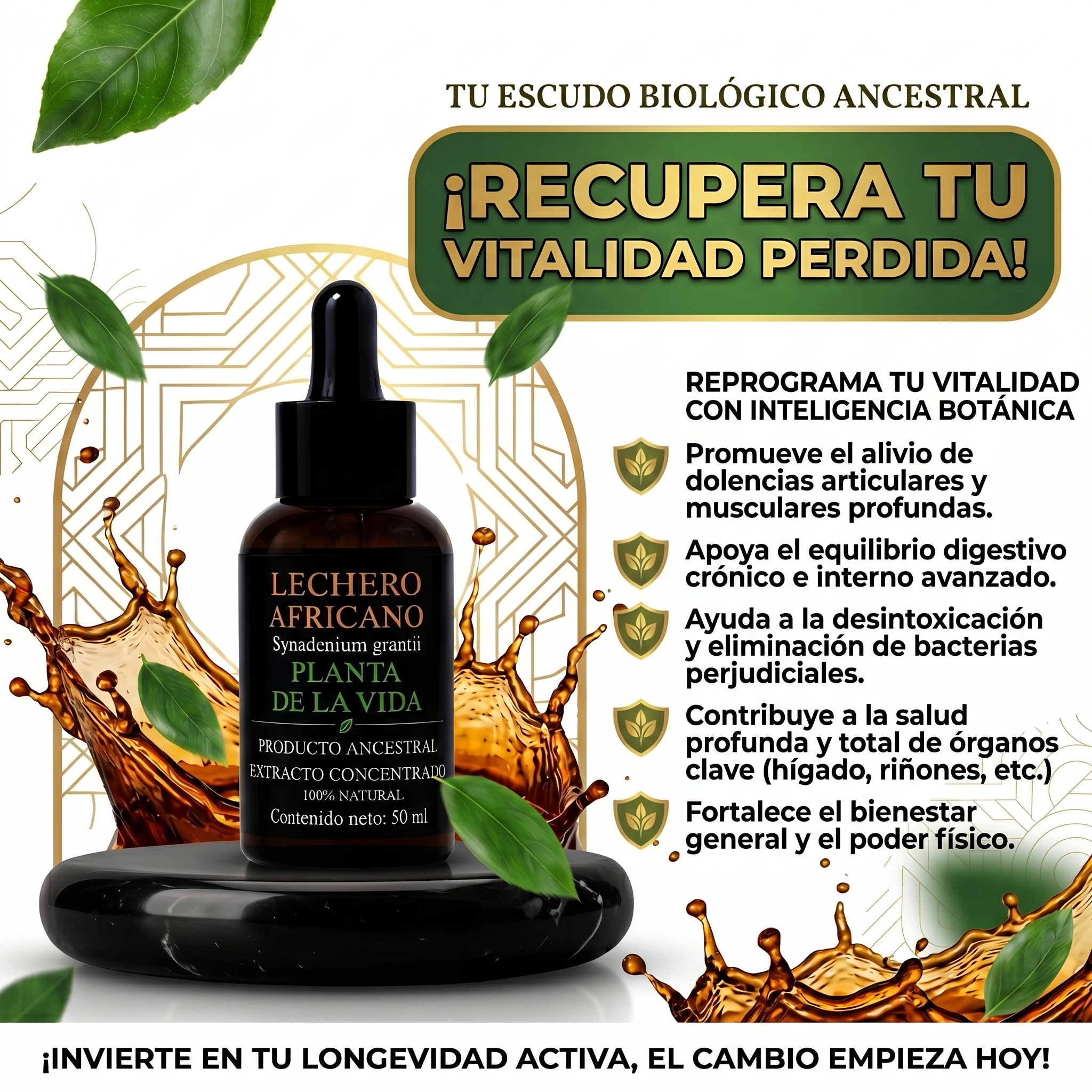 Productos Ancestrales Facebook ad