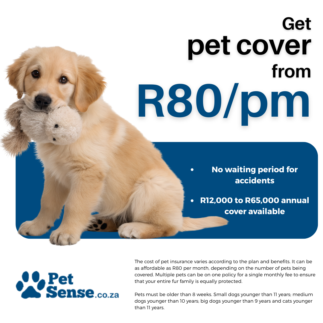 PetSense.co.za Facebook ad from Feb 2, 2026