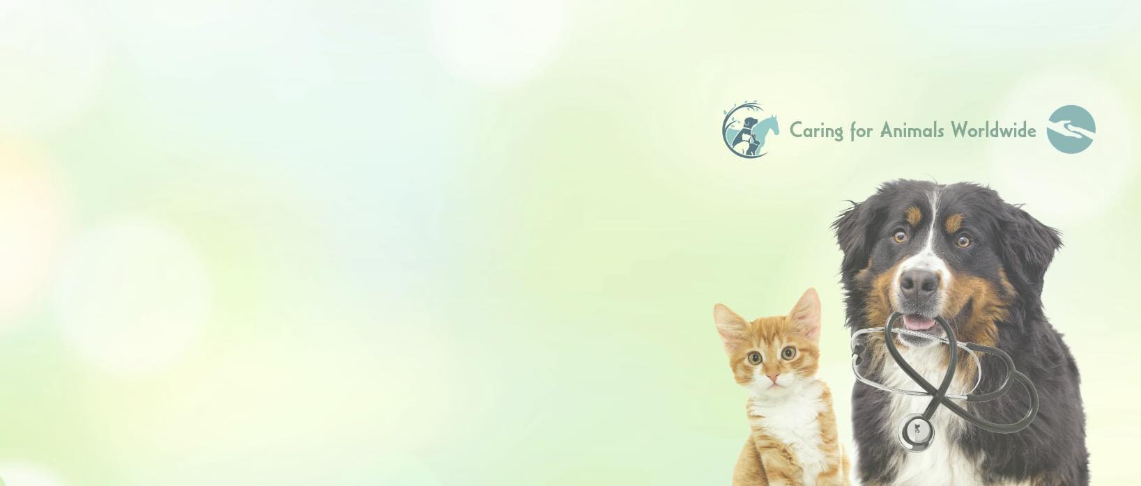 Daisy’s Legacy Facebook ad: Daisy’s Legacy improves animal welfare by providing free…