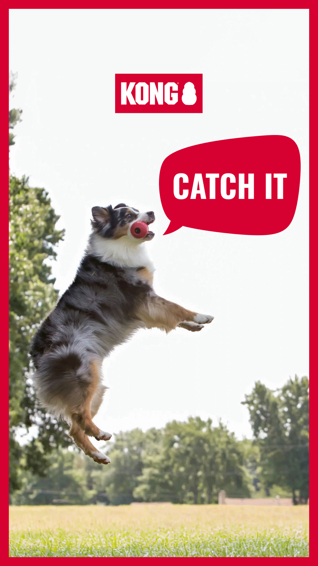 KONG Facebook ad: KONG Perfected Play