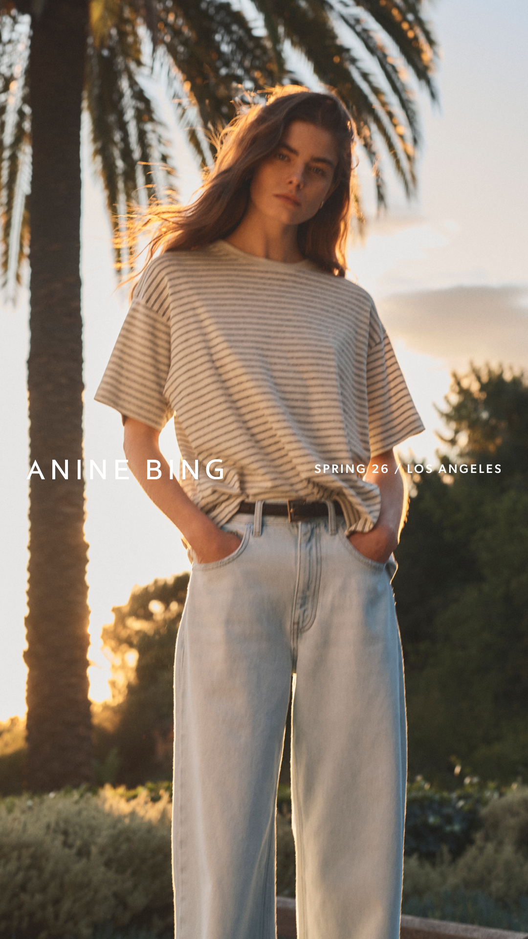 ANINE BING Facebook ad