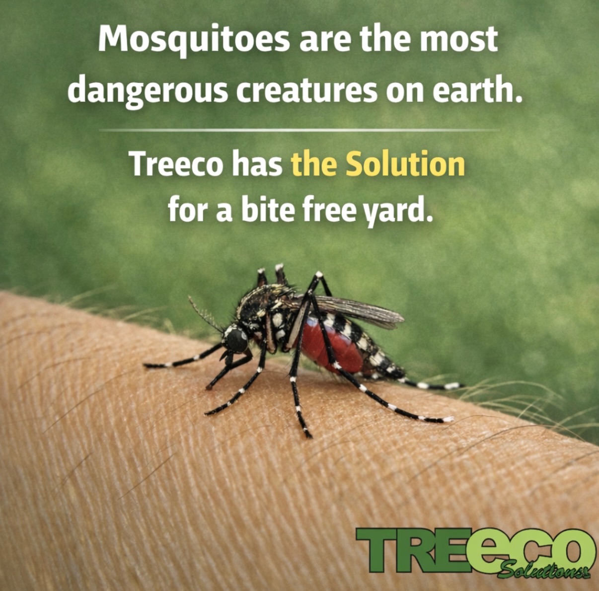 Treeco Solutions - Expert Arborist Facebook ad