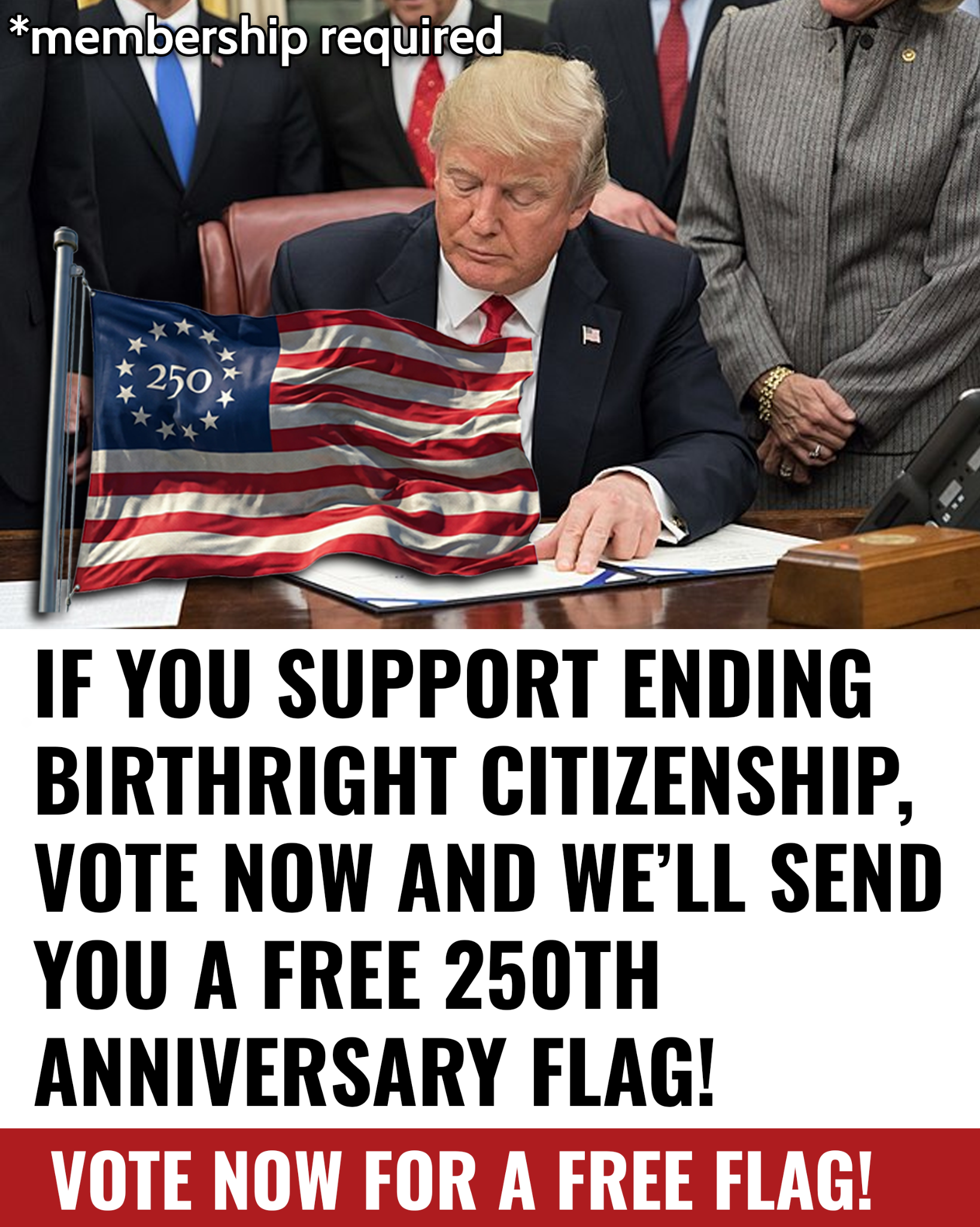 End The Wokeness Facebook ad: GET YOUR FREE 250th ANNIVERSARY FLAG!
