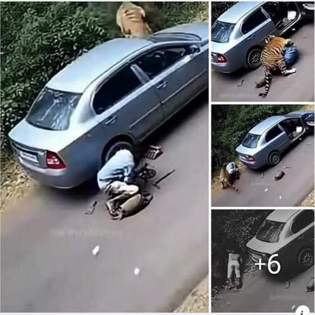 Syakila Maisarah 99 Facebook ad: Petang tadi, sebuah kejadian yang meruntun hati telah…