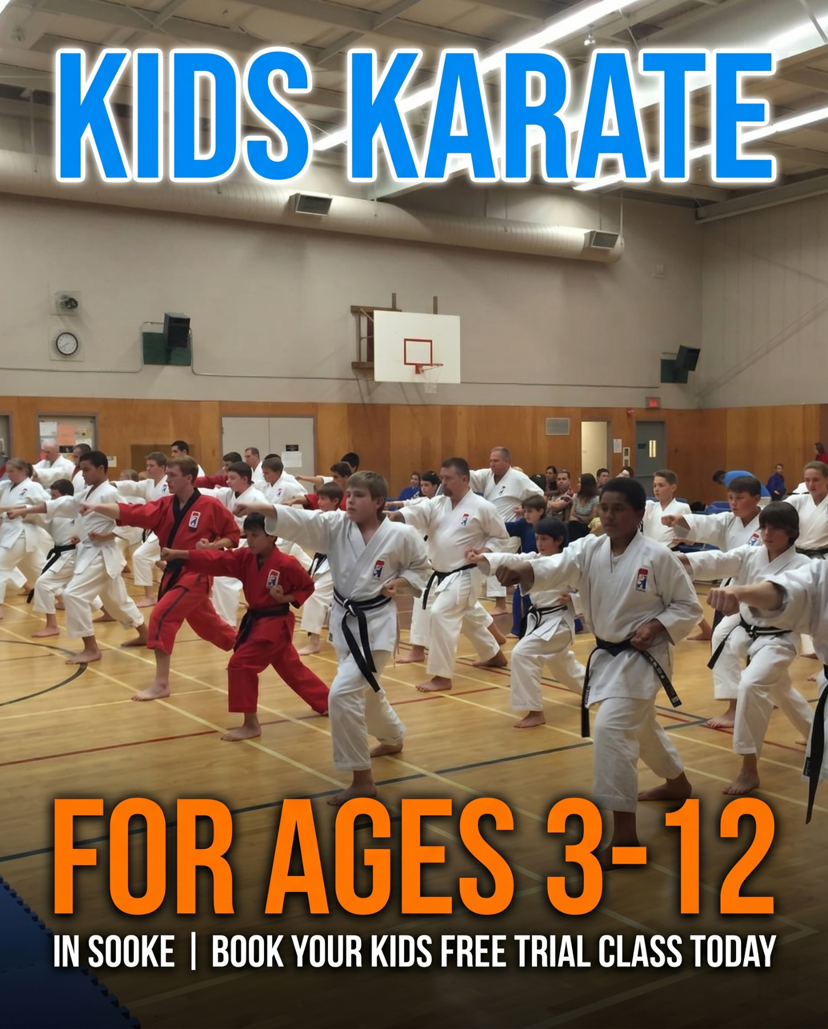 Canadas Best Karate Sooke Facebook ad