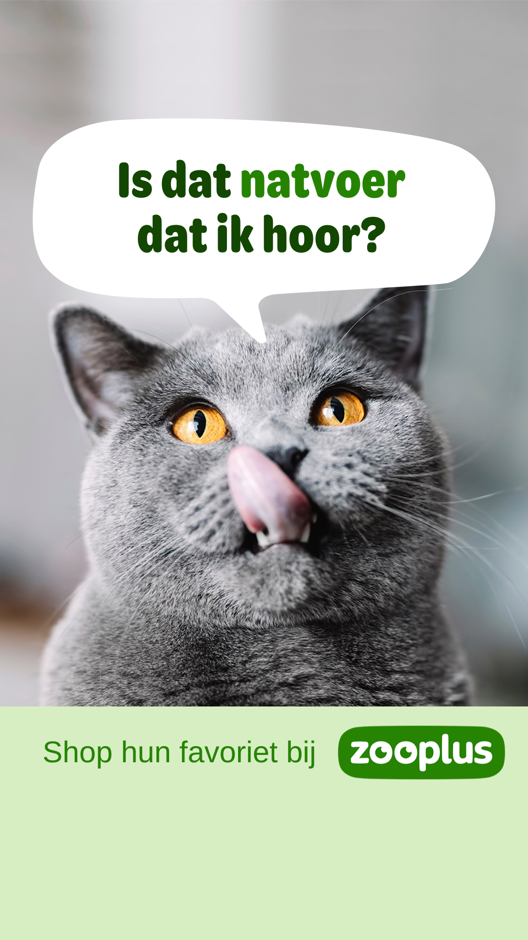 zooplus Facebook ad