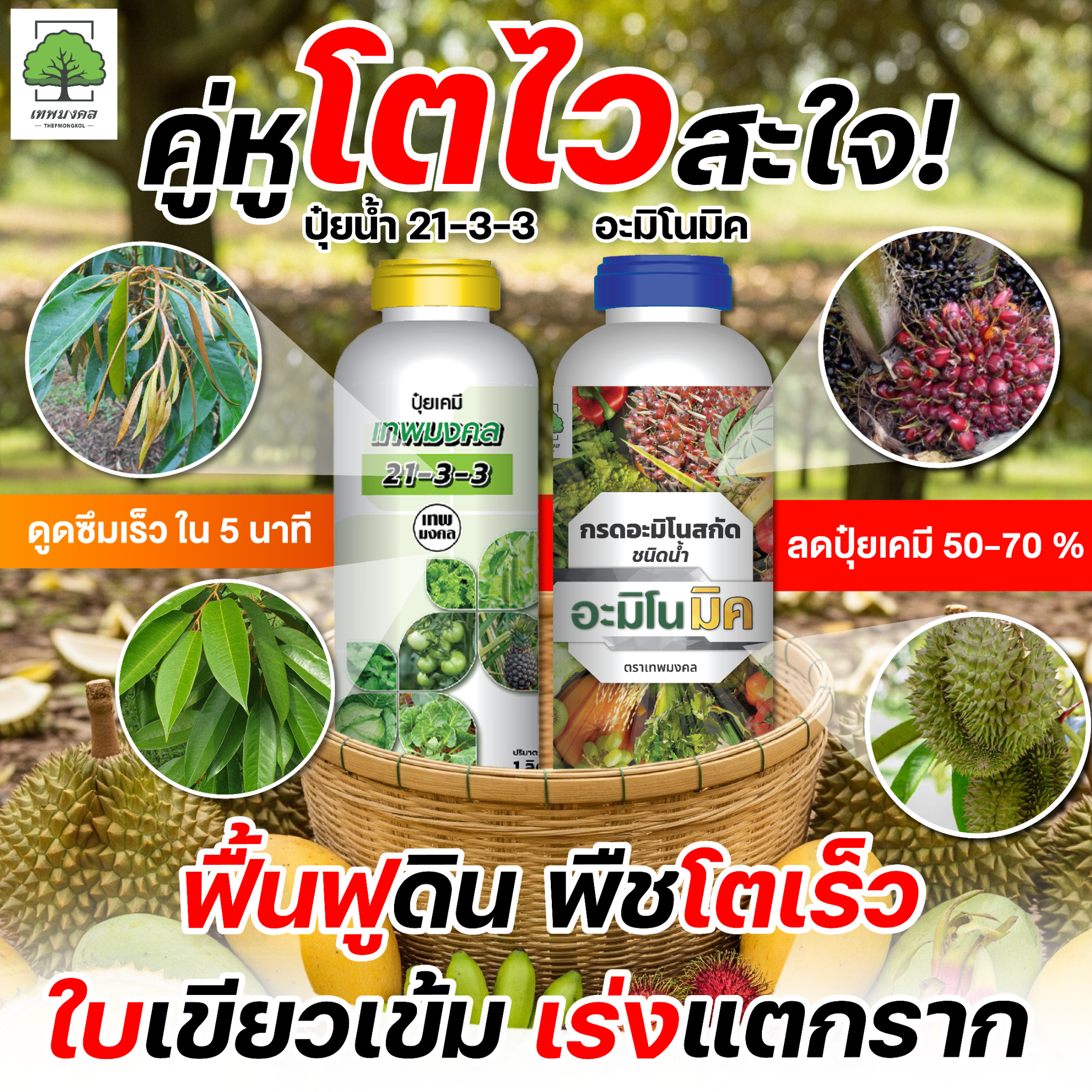 น้องปุ๋ยน้ำ ตราเทพมงคล Facebook ad