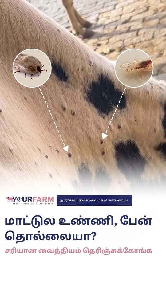 YourFarm AgriTech Facebook ad