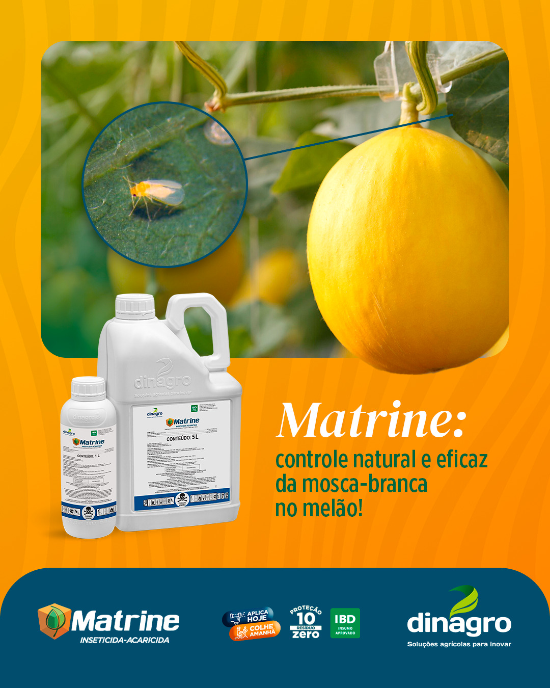Dinagro Facebook ad