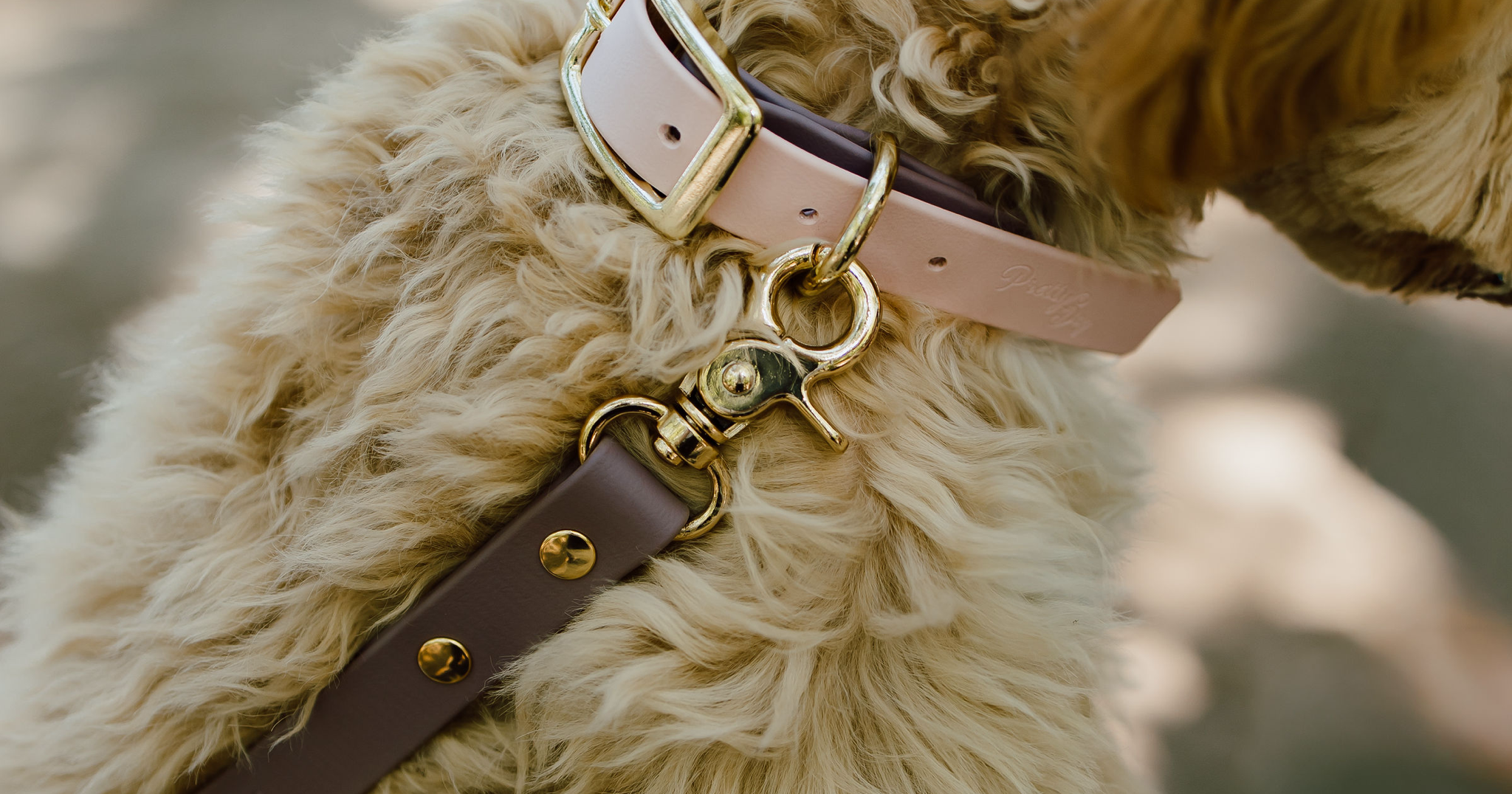 PrettyDog Luxury Pet Accessories Facebook ad: Nem találod a tökéletes nyakörvet kiskedvenced számára?