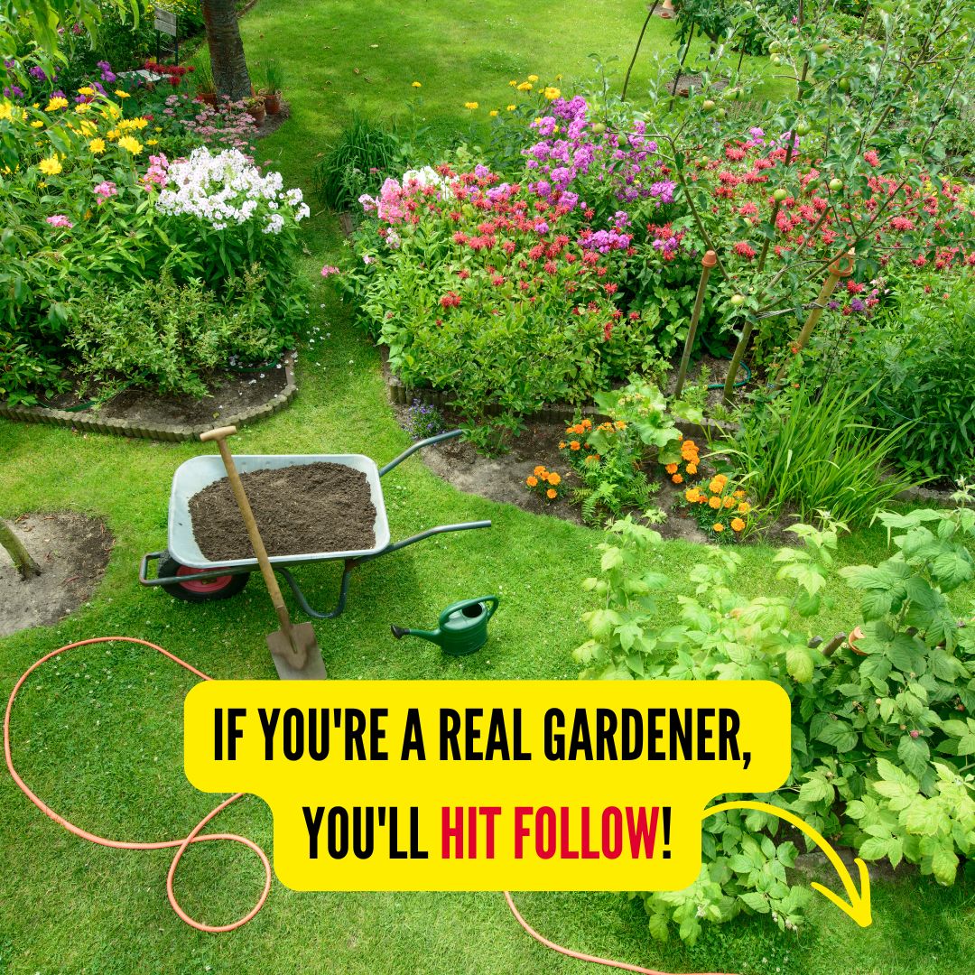 California Gardener Facebook ad from Mar 23, 2026