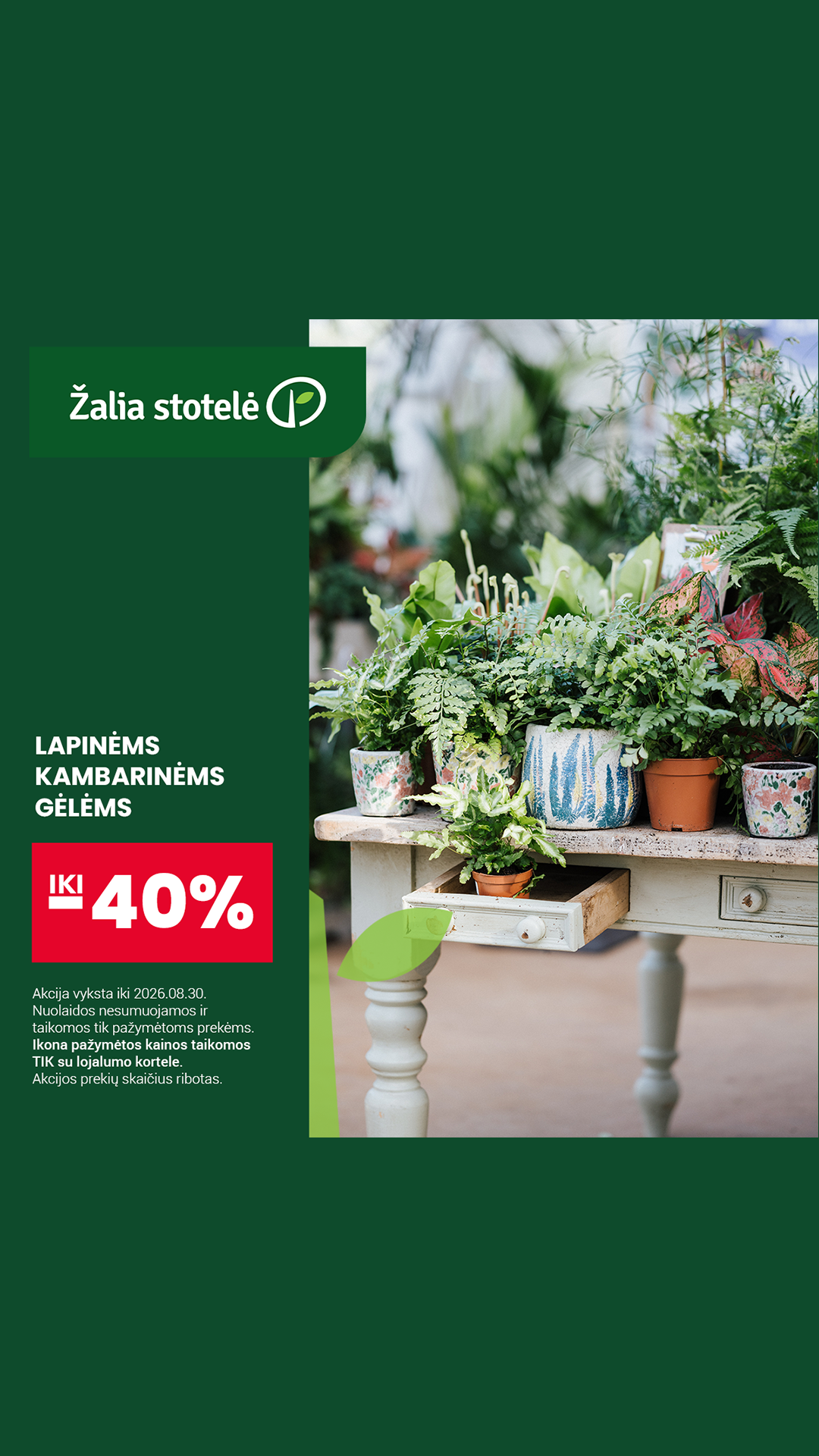 Žaliastotelė.lt Facebook ad