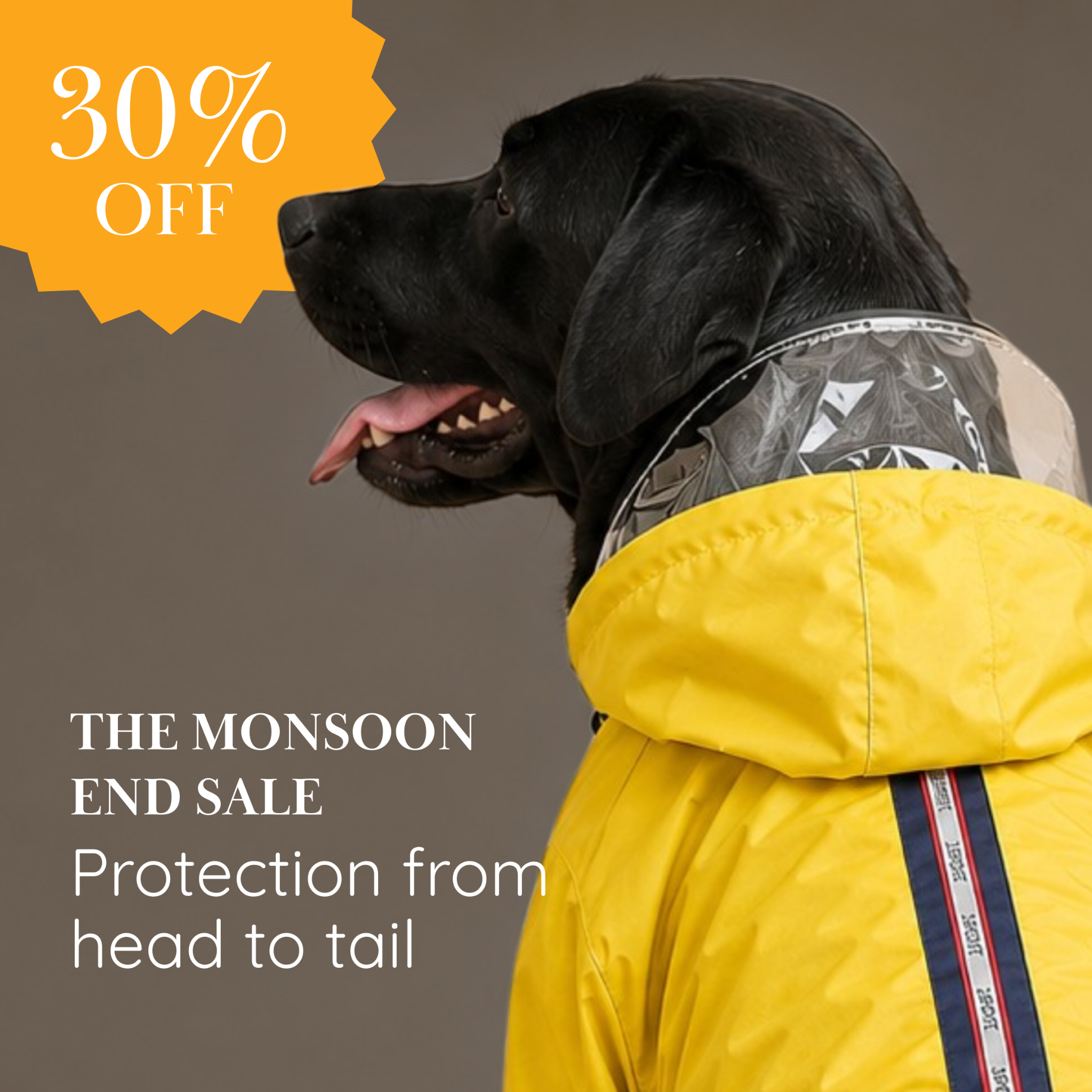 Styles For Tuffy Facebook ad: This isn’t just a raincoat for their back.