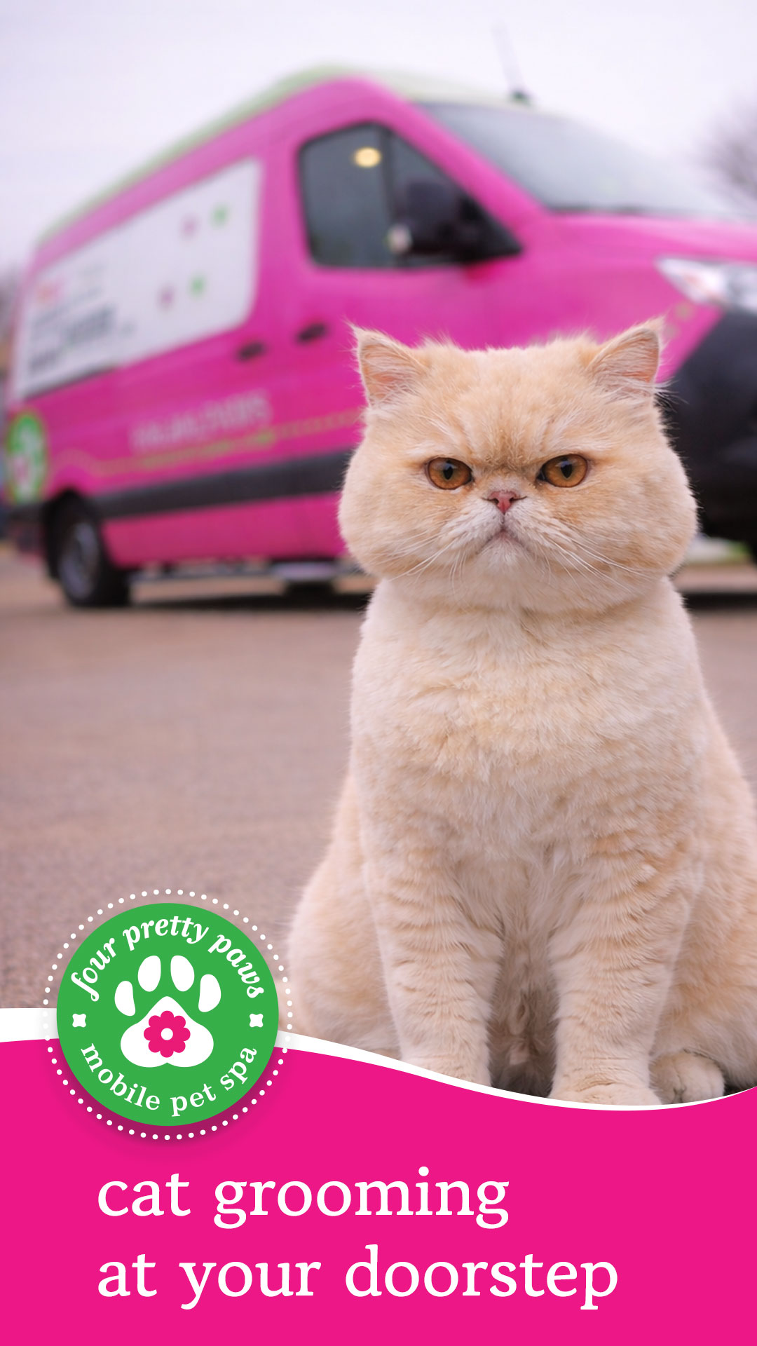 Four Pretty Paws Facebook ad