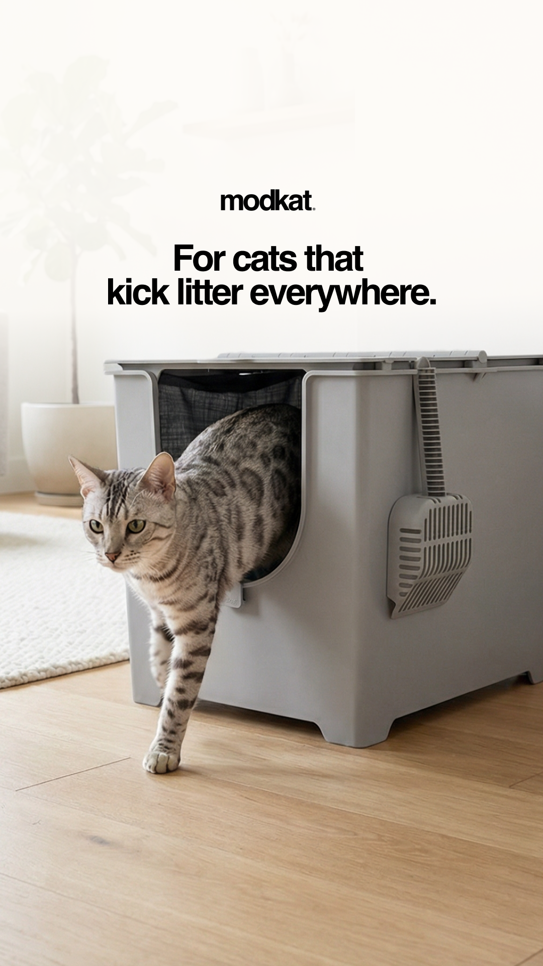 Modkat Facebook ad