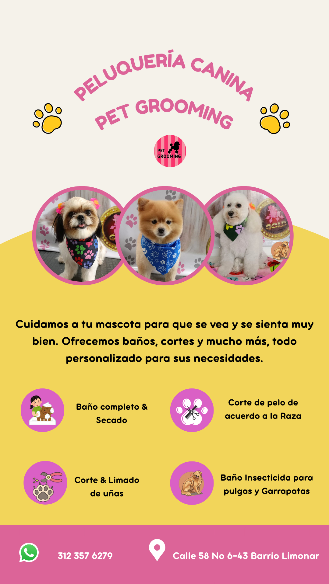 Pet Grooming Facebook ad from Jun 21, 2025
