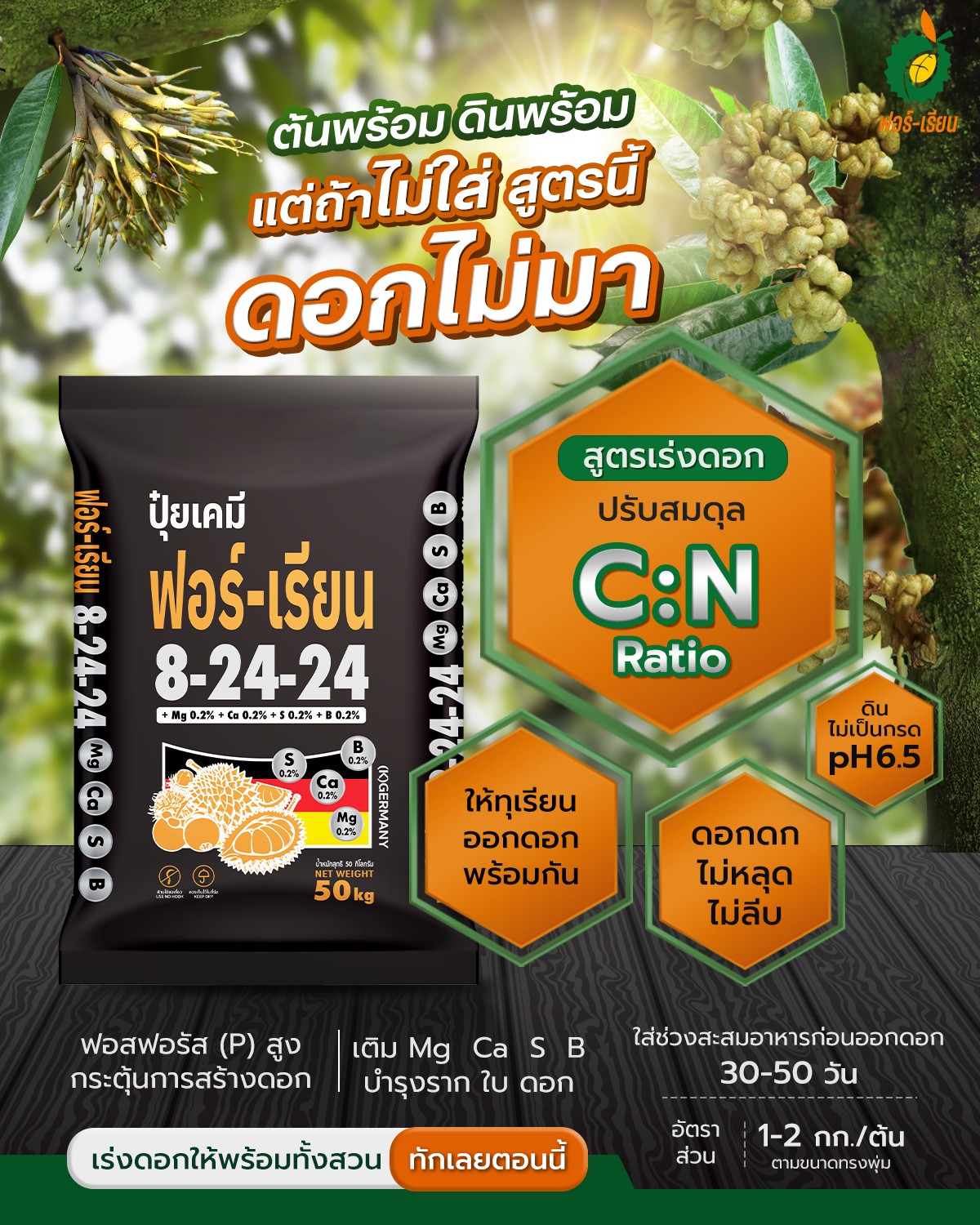 ปุ๋ยตราฟอร์-เรียน ซัลเฟต 100% Facebook ad: ช่วงนี้แหละ…โอกาสทองของการเร่งดอกทุเรียน!