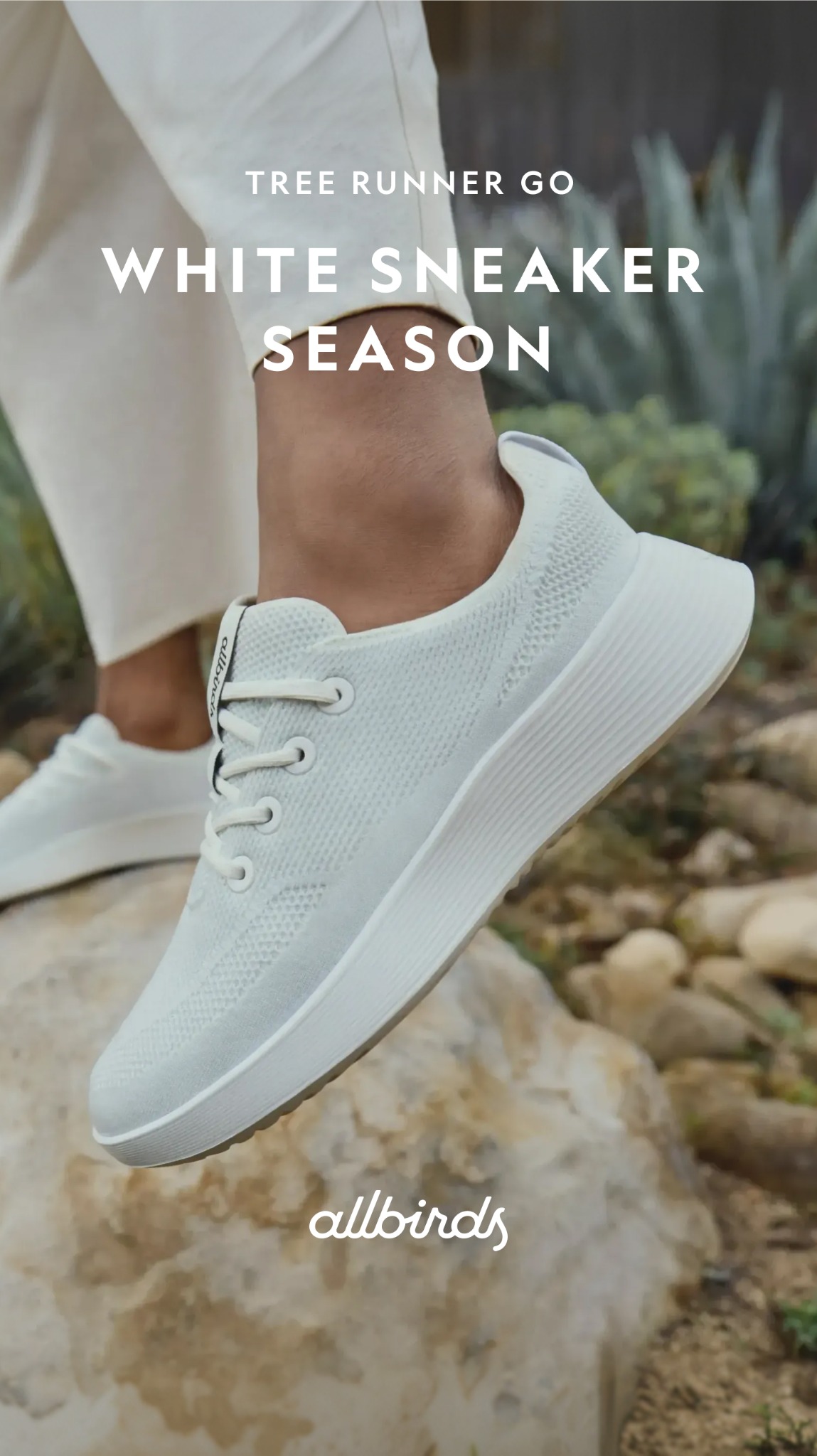 Allbirds New Zealand Facebook ad