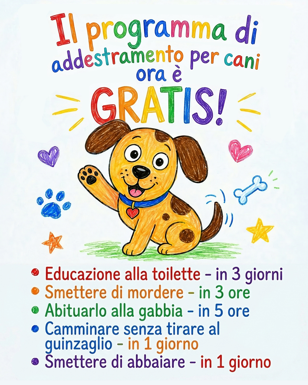 Ben Your Puppy Trainer Facebook ad