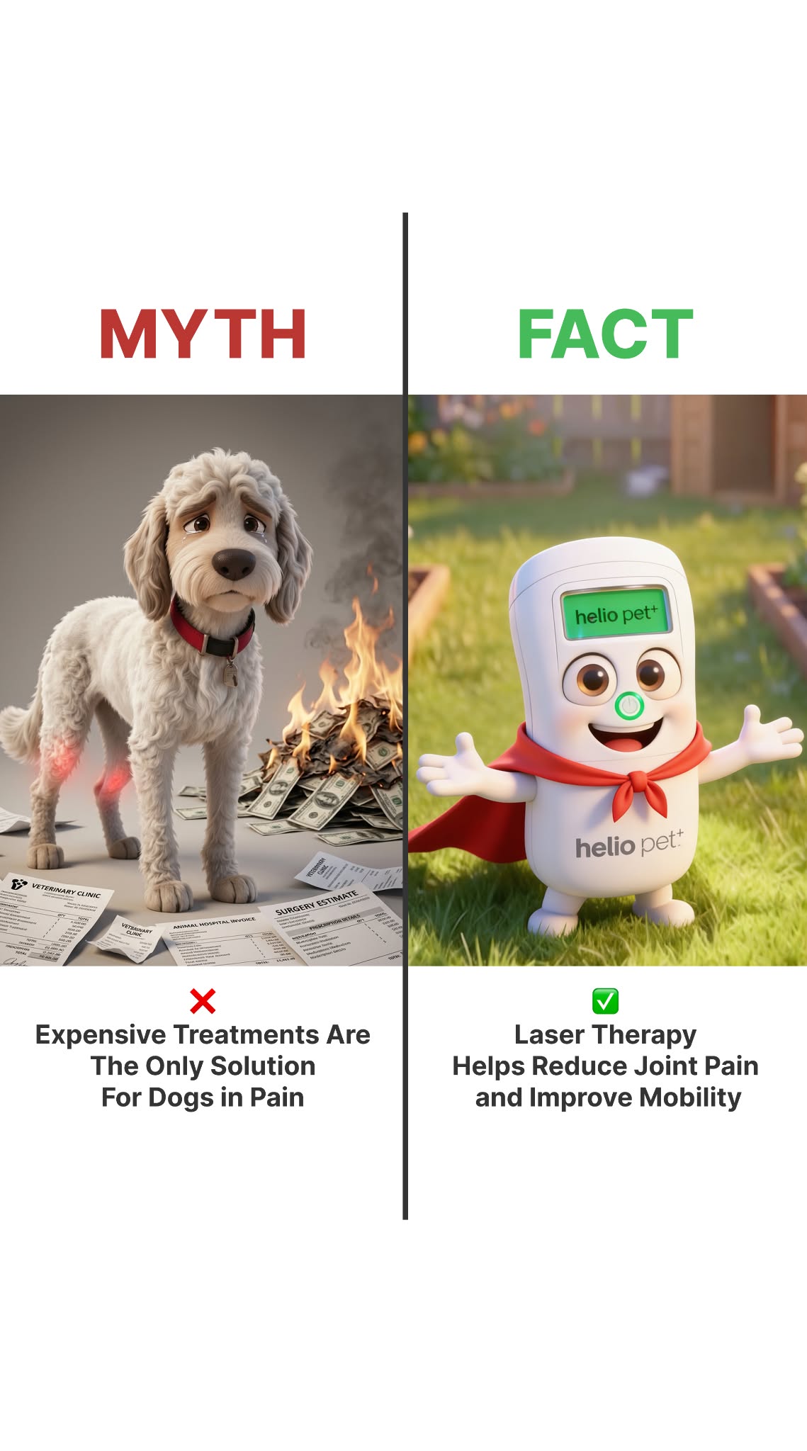 Helio Pet Facebook ad