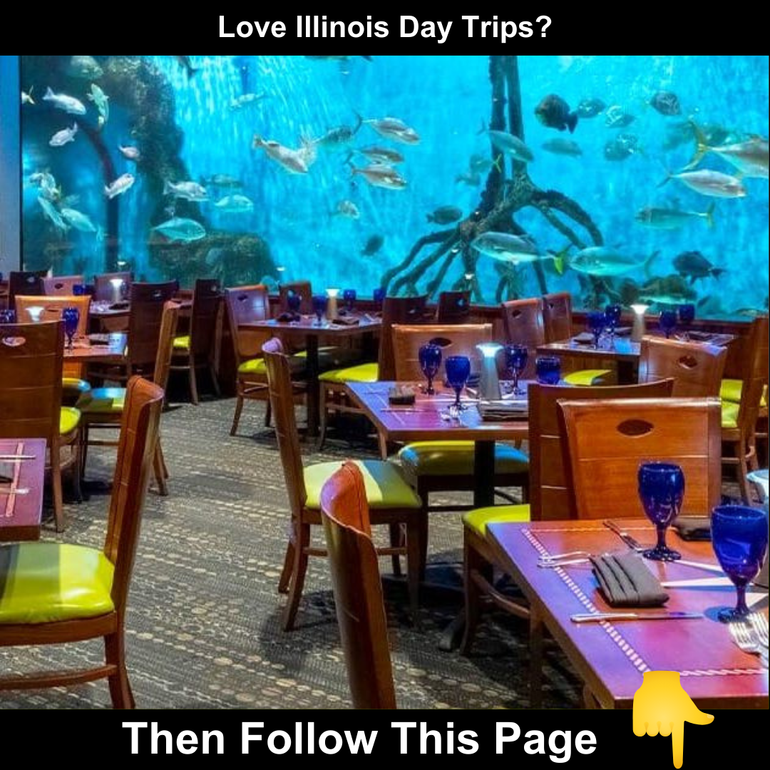 Illinois Family Destinations Facebook ad