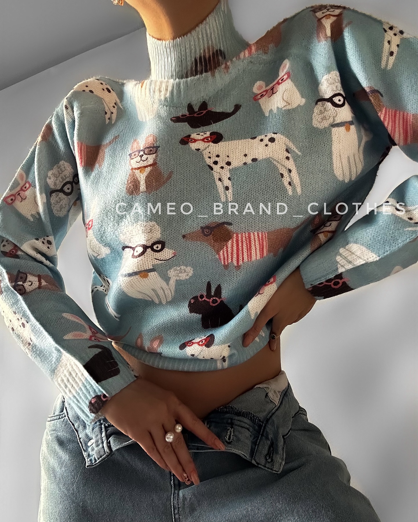Cameo Brand Clo Facebook ad: Sweet Dogs