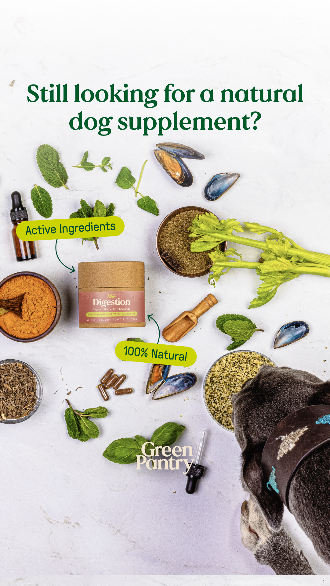 Green Pantry - Holistic Health Food for Pets Facebook ad